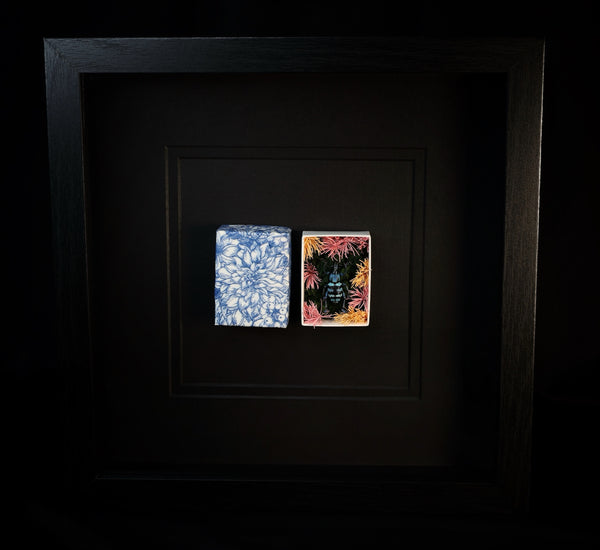 Blue Banded Snout Weevil