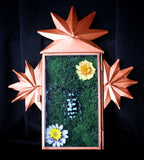 Longhorn Beetle Nicho