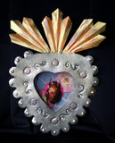 Flower Chafer Beetle Nicho