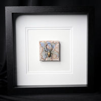 Tent-web Spider w/ painting