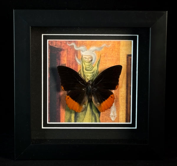 Framed Butterfly