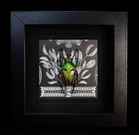 Flower Chafer Beetle