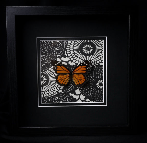 Monarch Butterfly