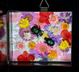 Green Horned Beetles Nicho