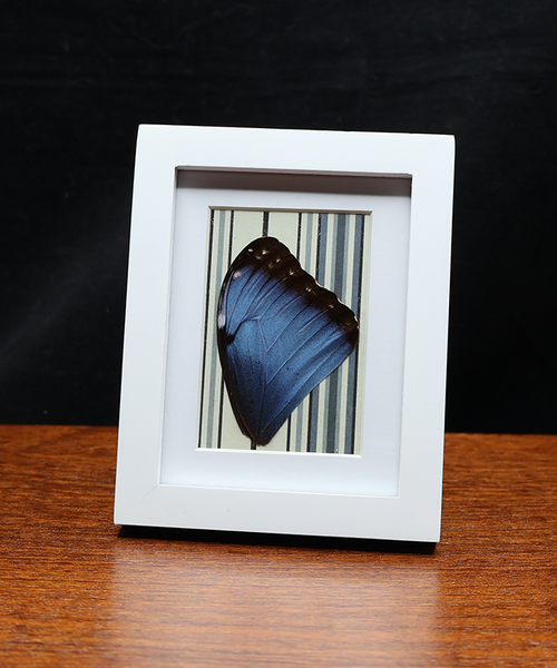 Mesmerizing Delineations