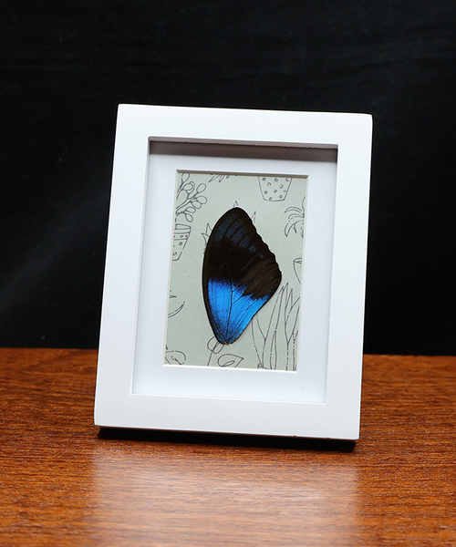 Sketches in Infinity