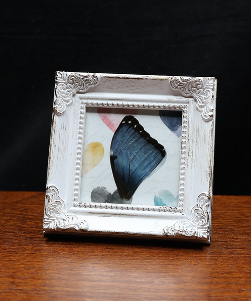 Whispering Blues of the Morpho