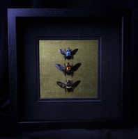 Bee Trio