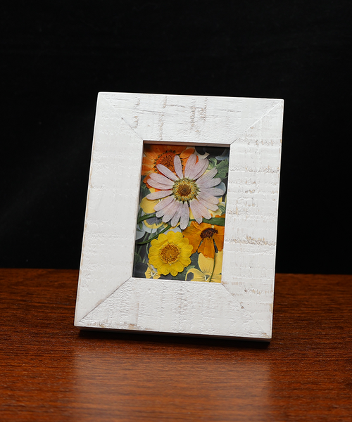 Sunshine’s Gentle Embrace