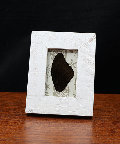 Quiet Grace of the Sea