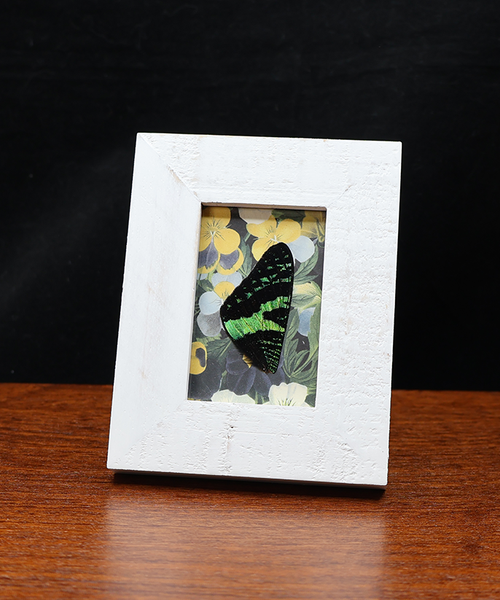 Sunset in the Garden