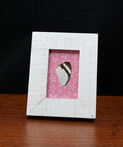 Whispers of Simplicity