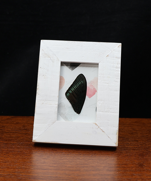 Moonlight on Soft Pastels