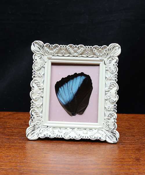 Magnificence in Blue