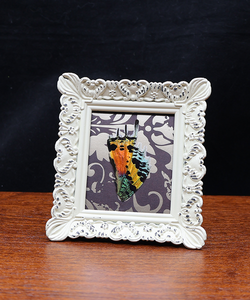 Kaleidoscope Embrace