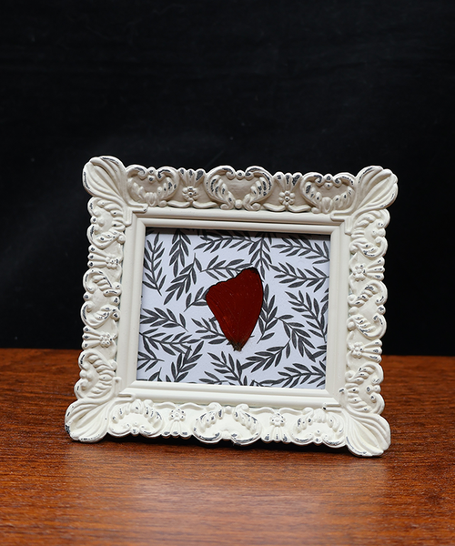 Black and White and Red All Over