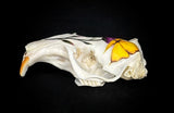 Gopher Skull