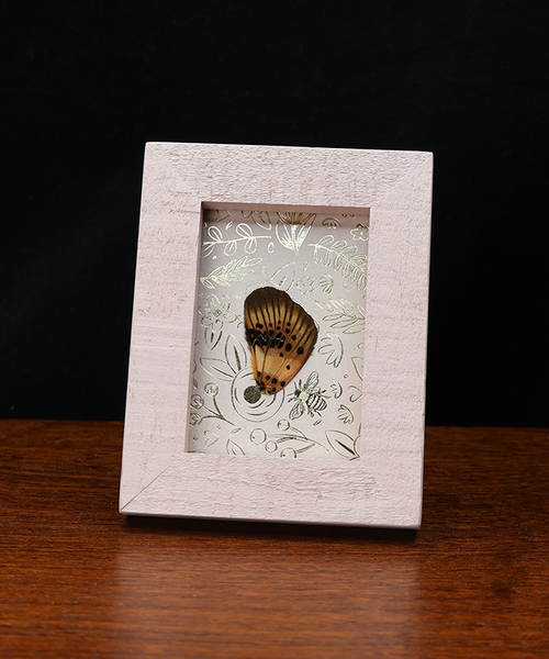 Nature's Golden Hour