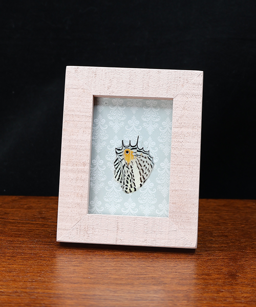 Radiance with Patterns