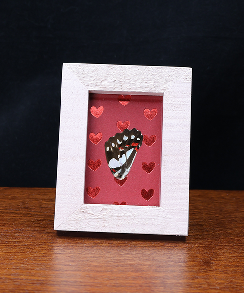 Scarlet Hearts and Fluttering Love