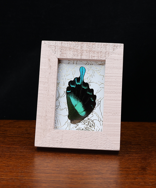 Resplendence in Green