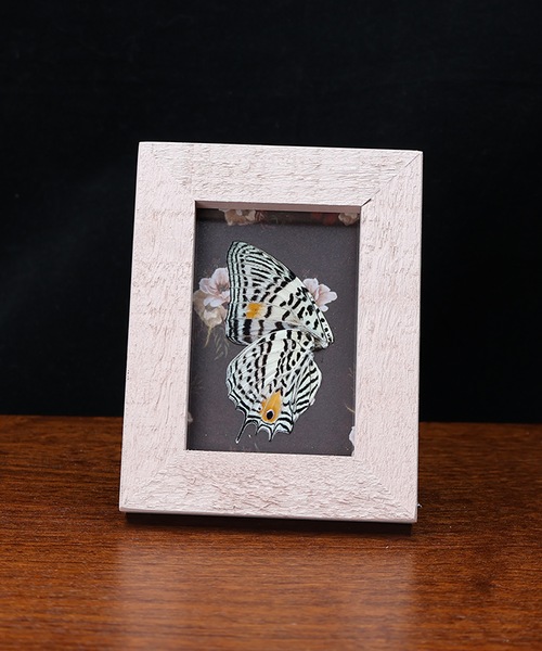 Whisper of Nature's Grace