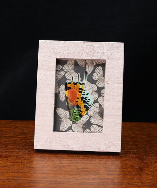 Sunset Symphony in Nature