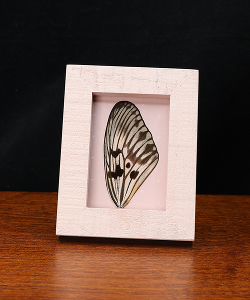 Whispers of the Wild