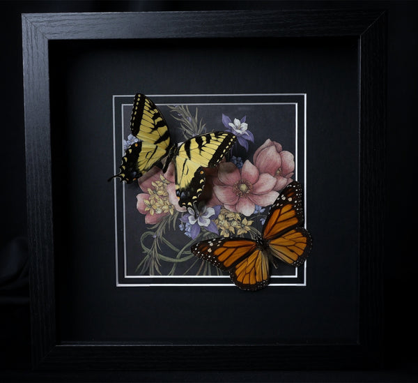 Monarch & Tiger Swallowtail