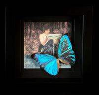 Morpho aurora