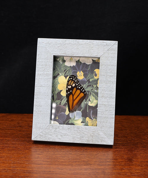 Monarch's Eternal Symphony