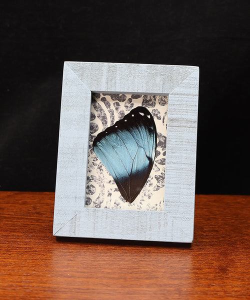 Tranquil Blue Dreams