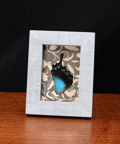 Radiance at Twilight