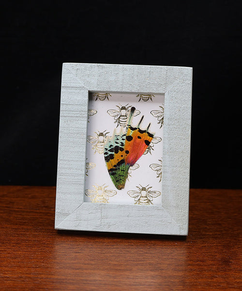 Flutters in Golden Green