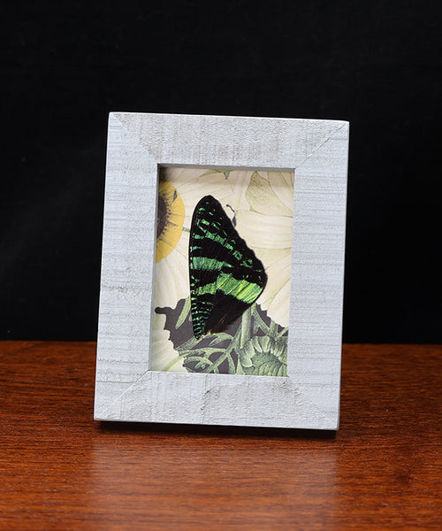 Delight in the Sun and Set