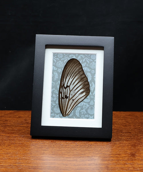 Earth’s Quiet Poetry