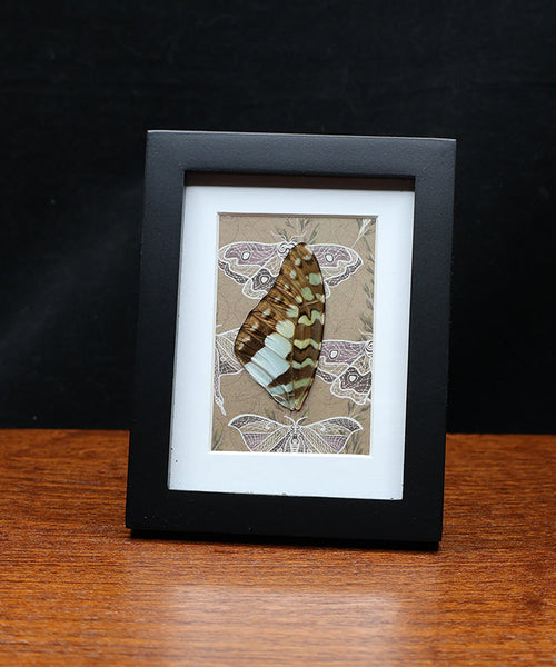 Whispers of the Forest