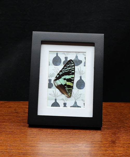 Vase of Verdant Wings