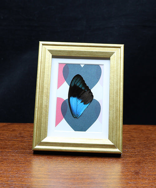 Shine Bright, Love Blue