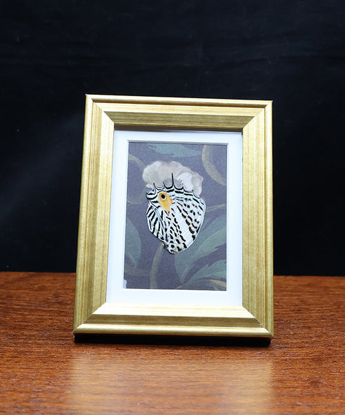 Contrast & Compliment