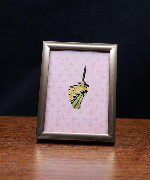 Golden Glow on Blush