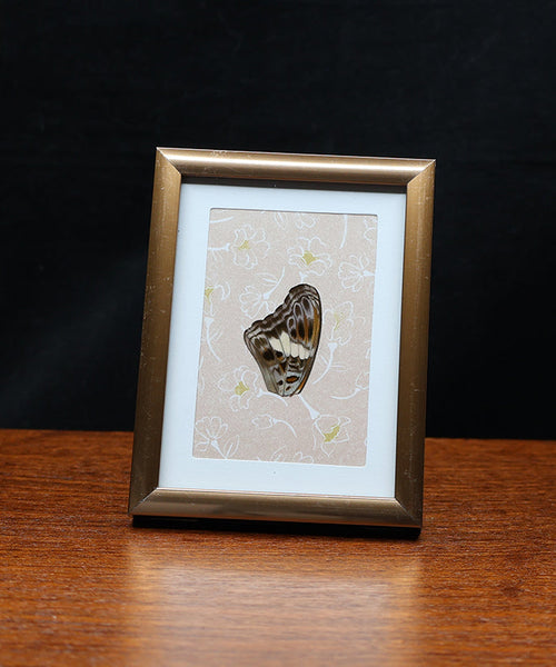 Whisper of the Earth