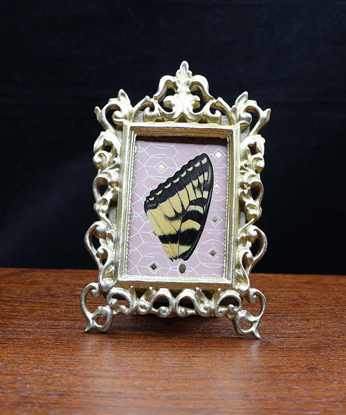 Sunlit Stripes Ablush