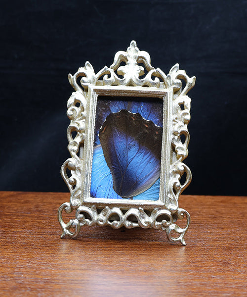 Midnight Luminescence