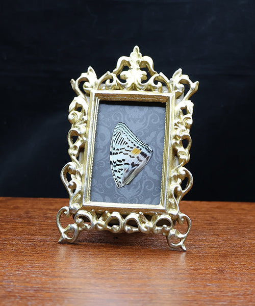 Garden’s Secret Gem