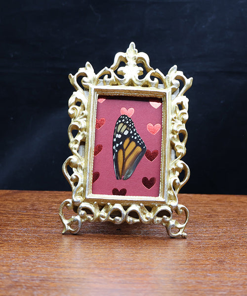 Midnight Monarch in Love