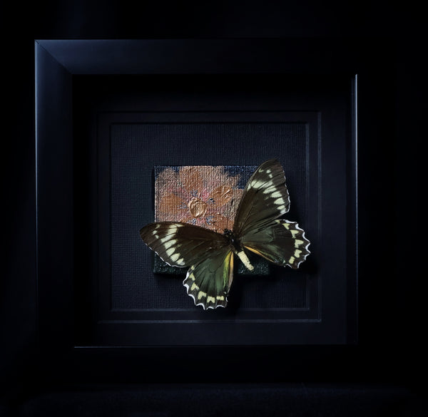 Butterfly w/ painting