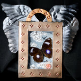 Blue Moon Butterfly Nicho