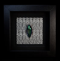 Green Jewel Beetle