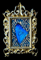 Blue Morpho Wing